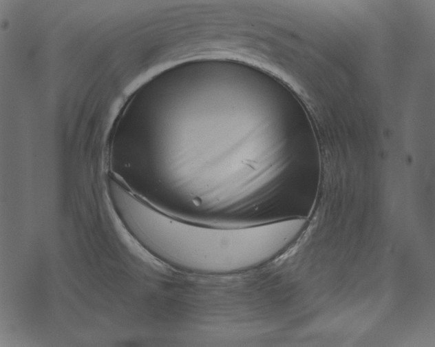 X0000073741526200608171253