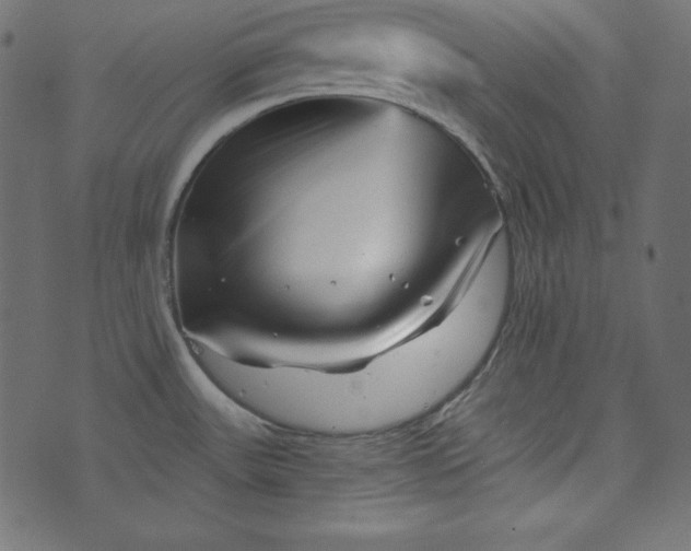 X0000073741531200608171253
