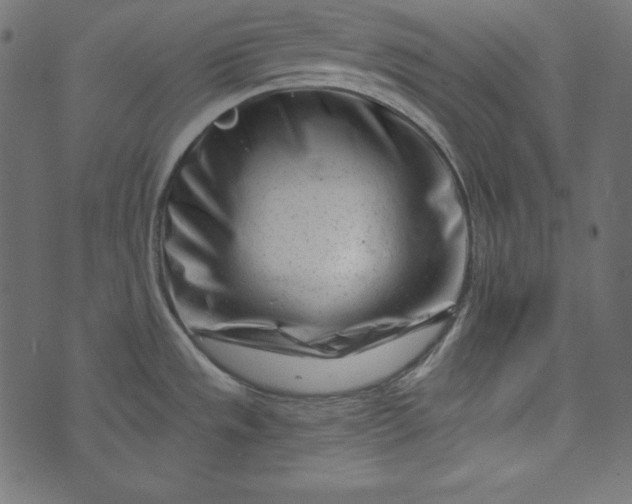X0000073741533200608171253