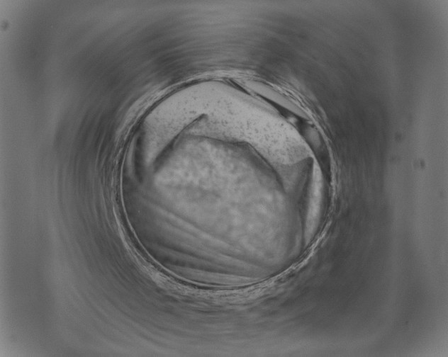 X0000073740001200608241334