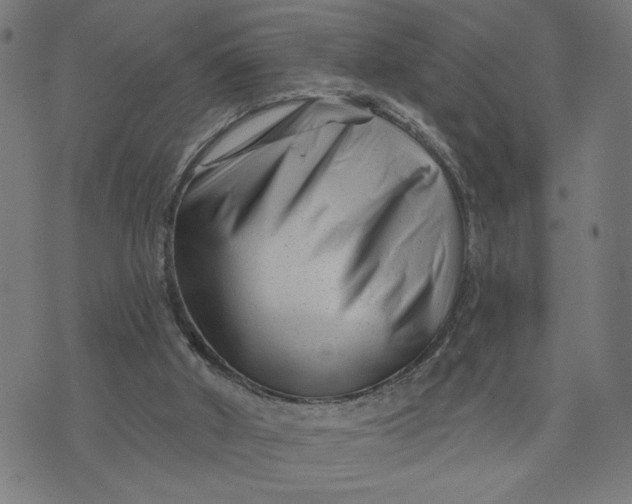 X0000073740010200608241333