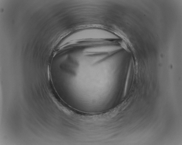 X0000073740013200608241333