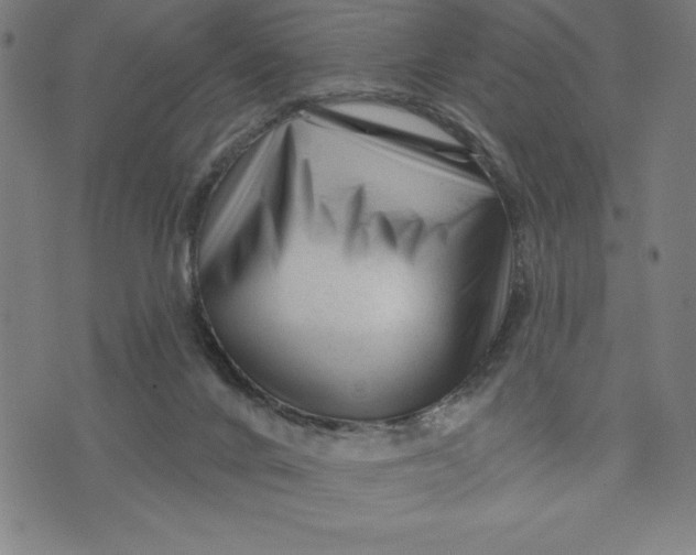 X0000073740024200608241333