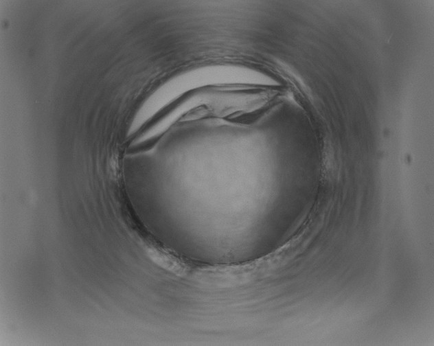 X0000073740025200608241333