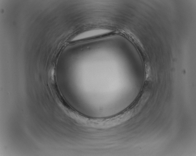 X0000073740026200608241333