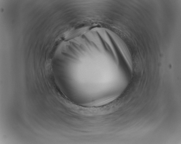 X0000073740034200608241333
