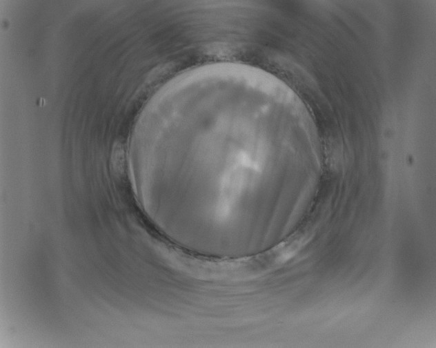 X0000073740036200608241333