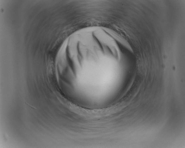 X0000073740038200608241333