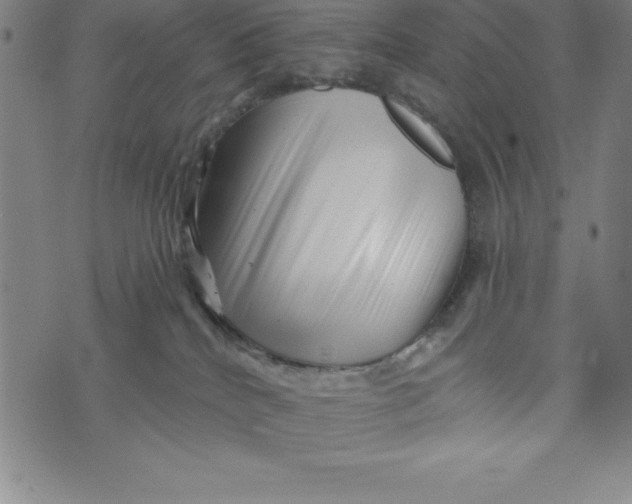 X0000073740040200608241333
