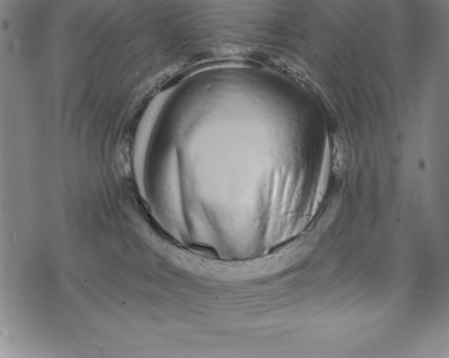 X0000073740043200608241333