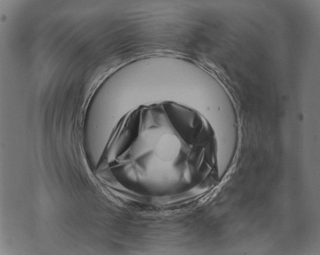 X0000073740049200608241332