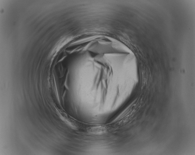 X0000073740050200608241332