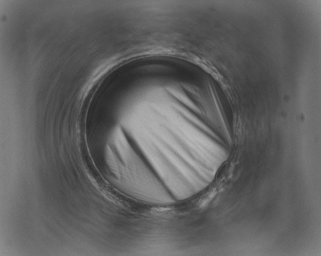 X0000073740055200608241332