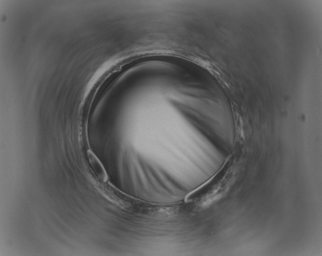 X0000073740056200608241332