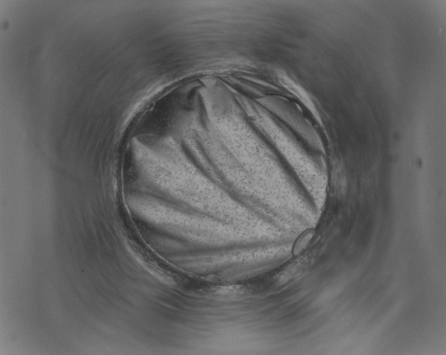 X0000073740059200608241332
