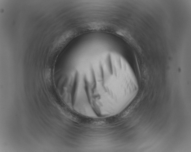 X0000073740066200608241332