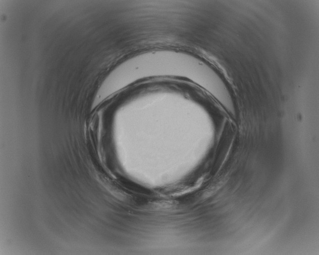 X0000073740069200608241332