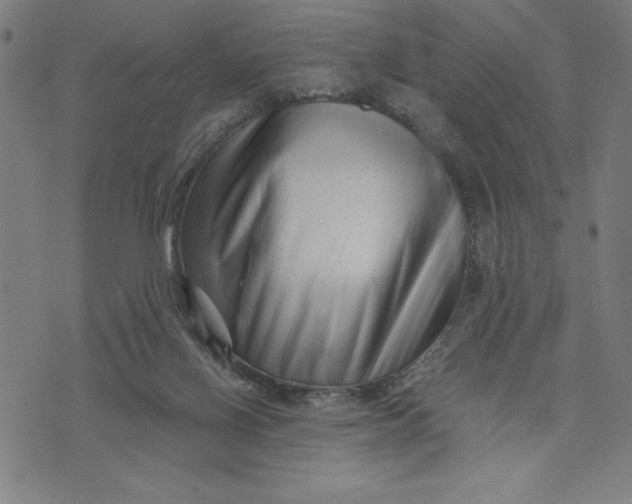 X0000073740070200608241332