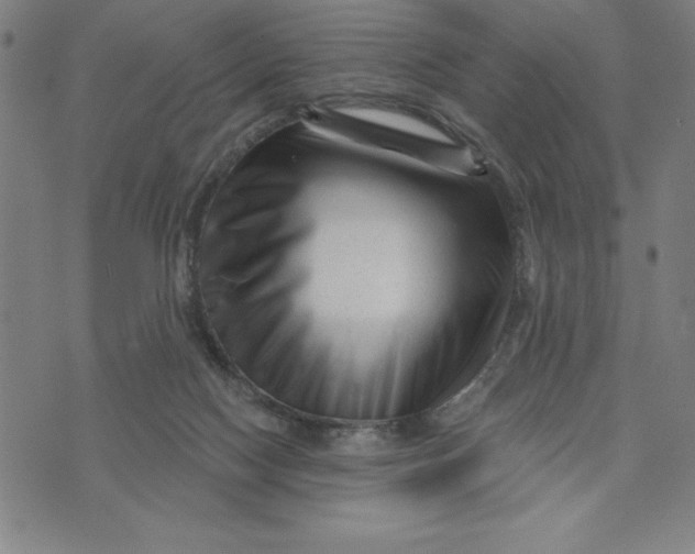X0000073740074200608241332