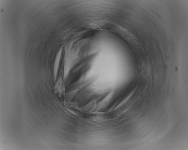 X0000073740075200608241332