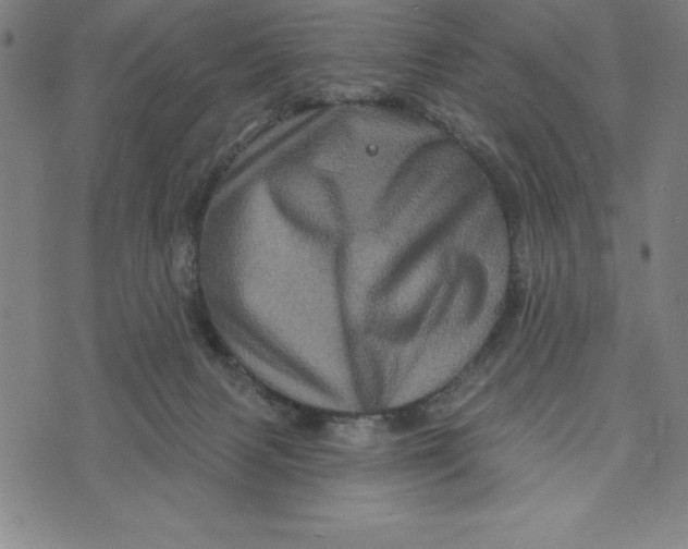 X0000073740079200608241332
