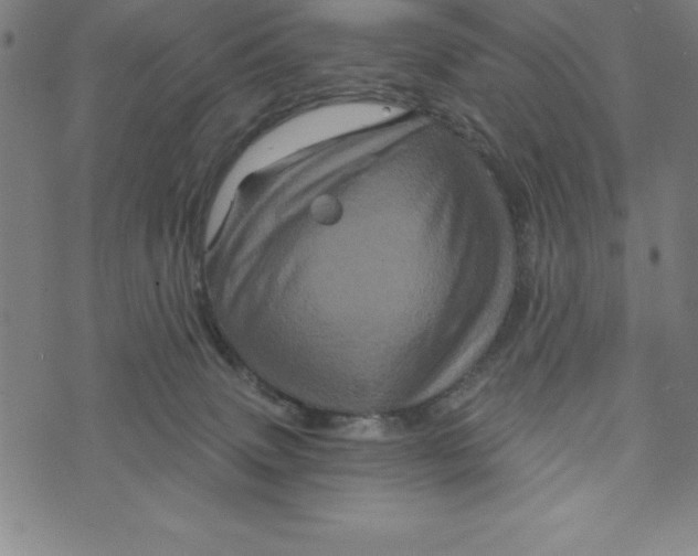 X0000073740083200608241333