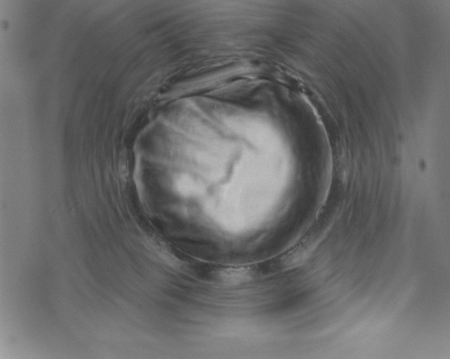 X0000073740085200608241333