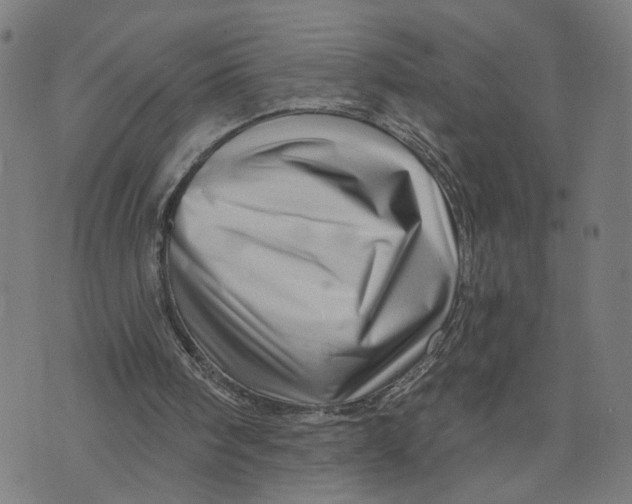 X0000073740098200608241332