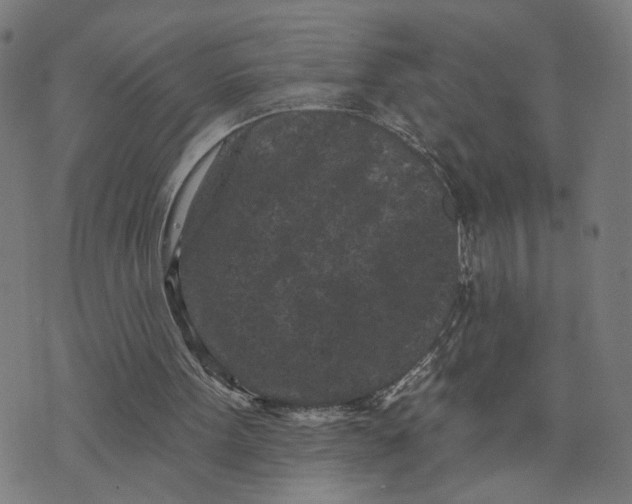 X0000073740099200608241332