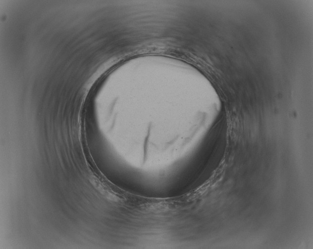X0000073740100200608241332