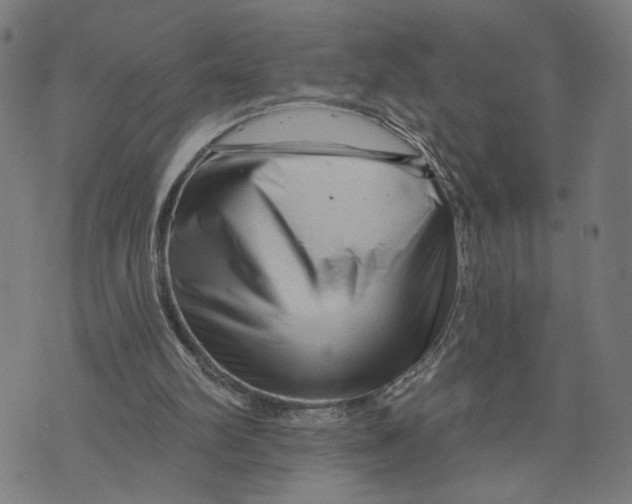 X0000073740102200608241332
