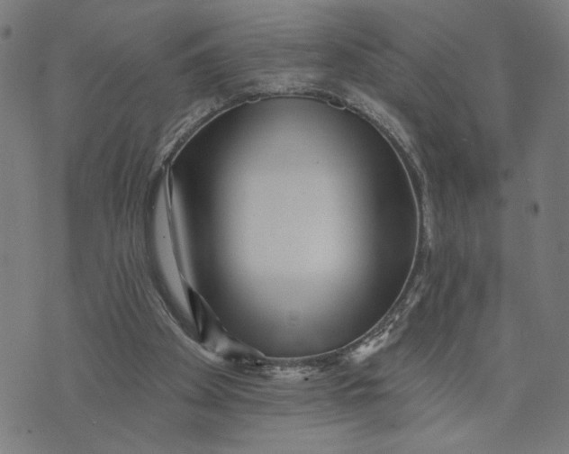 X0000073740105200608241332