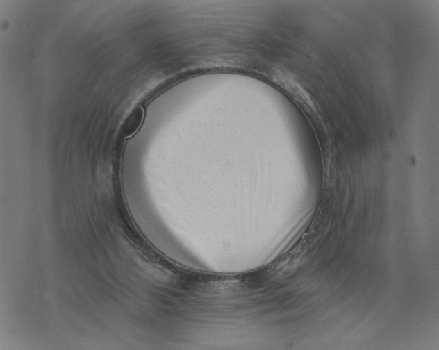 X0000073740108200608241332