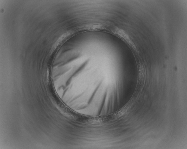 X0000073740110200608241332
