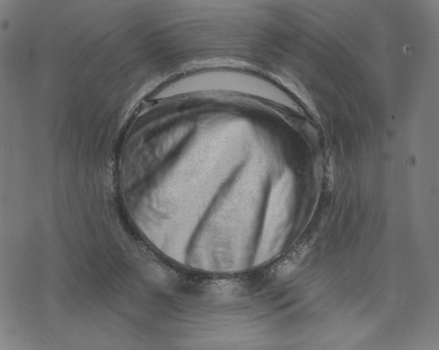 X0000073740111200608241332