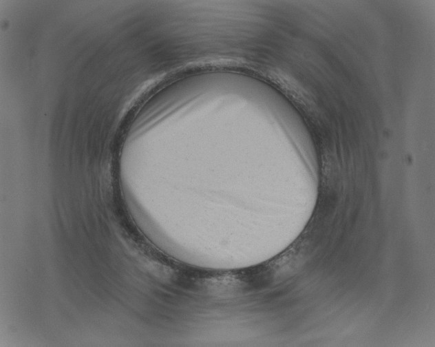 X0000073740112200608241332