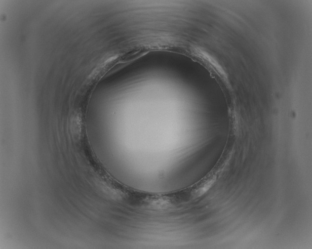 X0000073740113200608241332