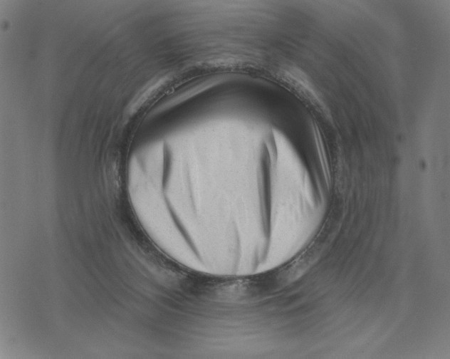 X0000073740116200608241332