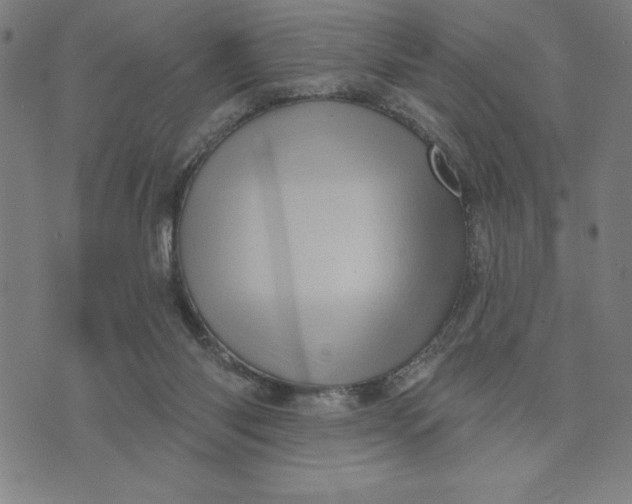 X0000073740118200608241332