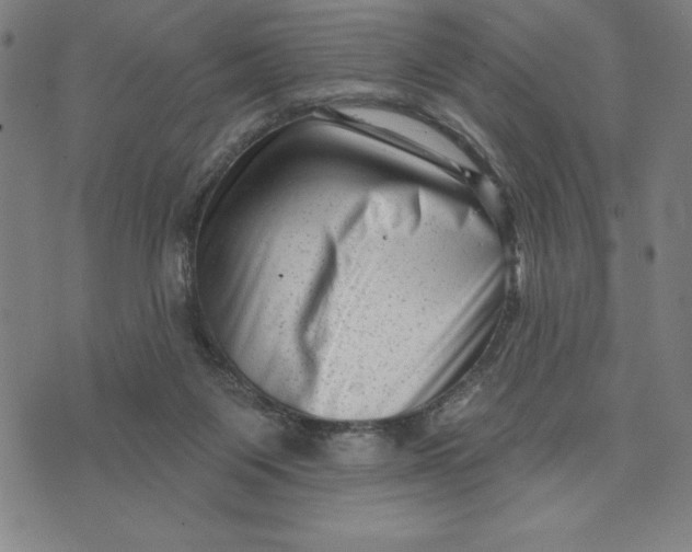 X0000073740119200608241332