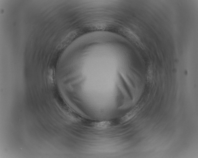 X0000073740122200608241332