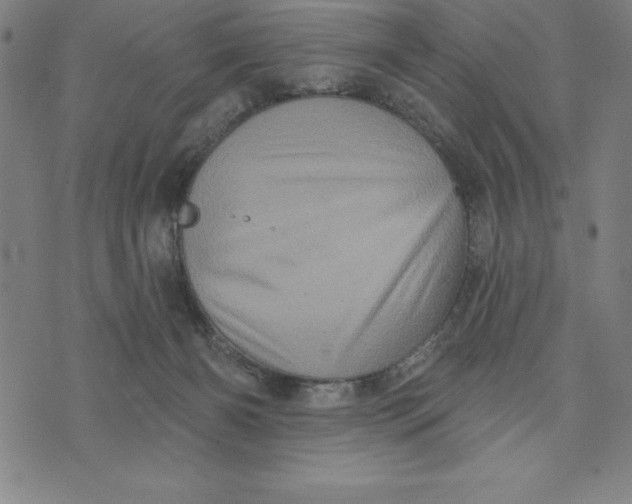 X0000073740126200608241331