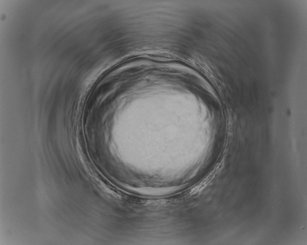 X0000073740145200608241330