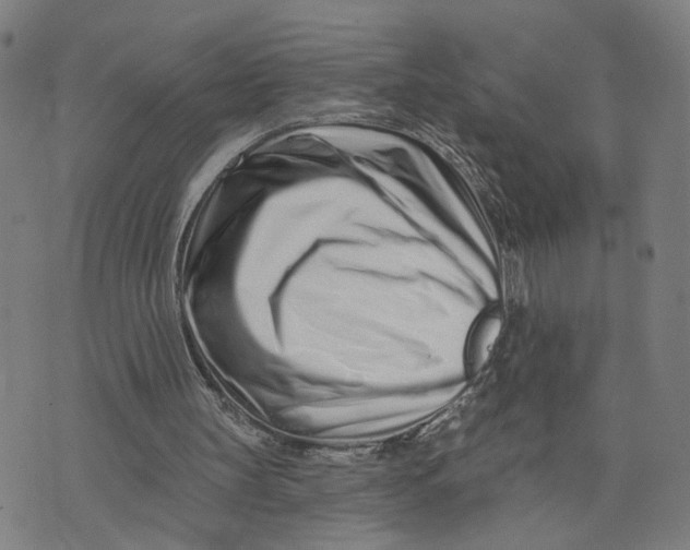 X0000073740147200608241330