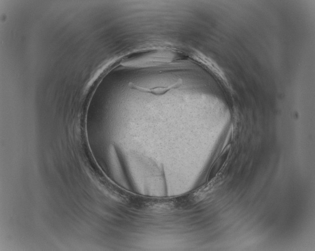 X0000073740155200608241331