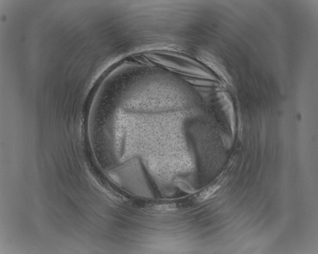 X0000073740156200608241331