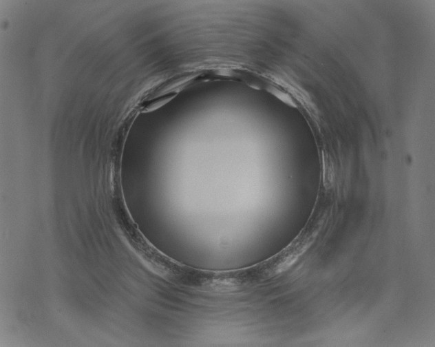 X0000073740157200608241331