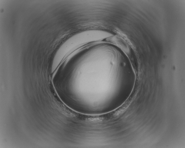X0000073740161200608241331