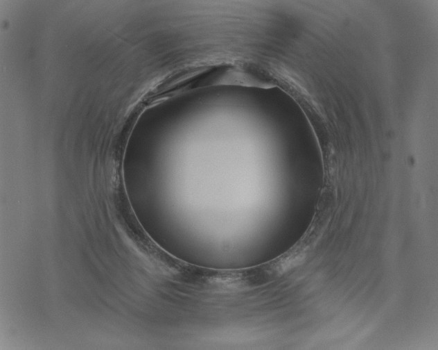 X0000073740164200608241331
