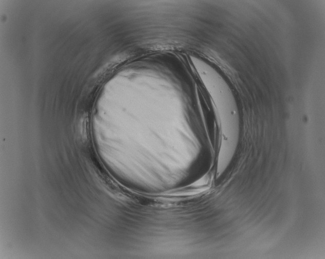 X0000073740165200608241331